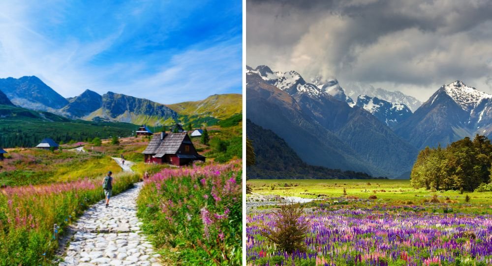 antelope-and-valleys-of-flowers