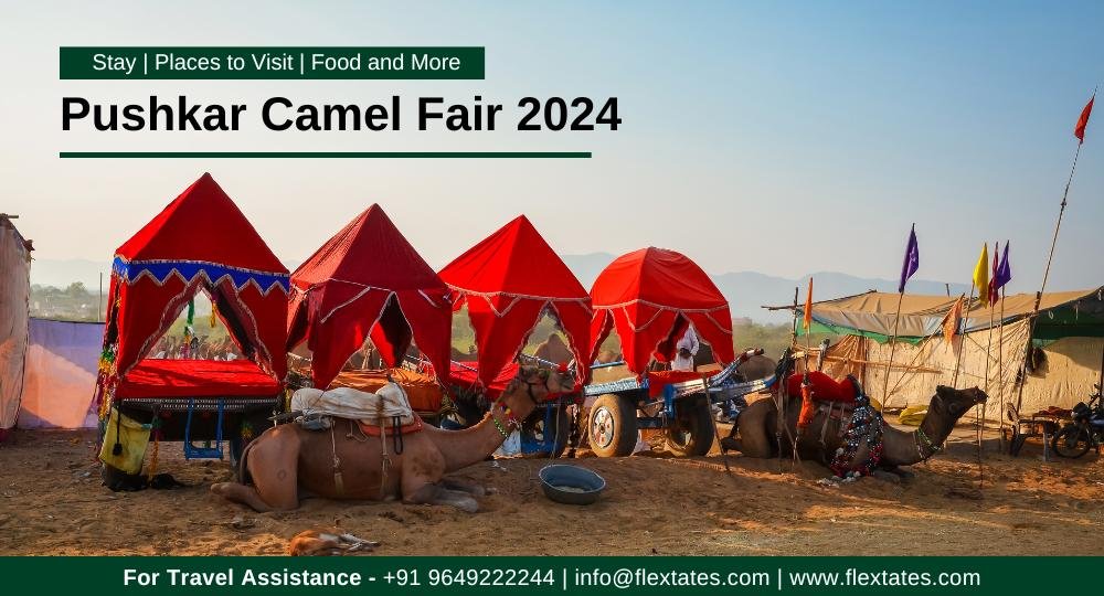 pushkar-camel-fair