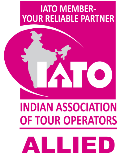 flextates - travelers choice award by tripadvisor